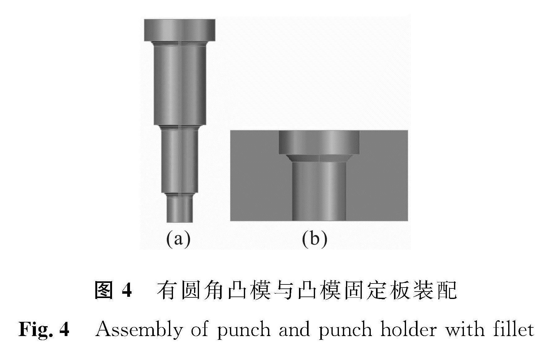 图4 有圆角凸模与凸模固定板装配<br/>Fig.4 Assembly of punch and punch holder with fillet
