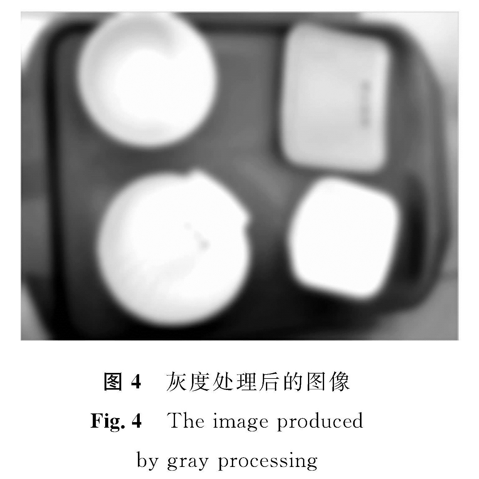 图4 灰度处理后的图像<br/>Fig.4 The image produced by gray processing