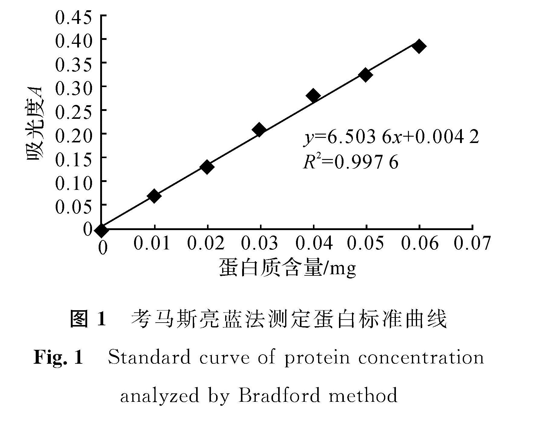 图1 考马斯亮蓝法测定蛋白标准曲线<br/>Fig.1 Standard curve of protein concentration analyzed by Bradford method