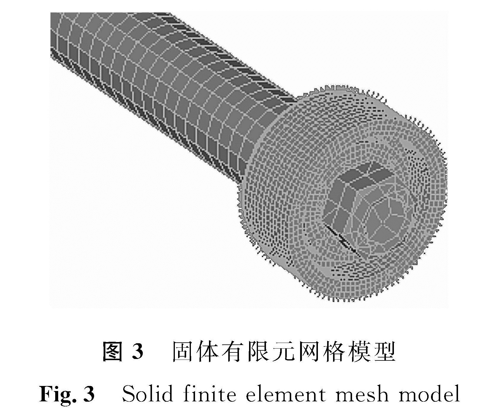 图3 固体有限元网格模型<br/>Fig.3 Solid finite element mesh model