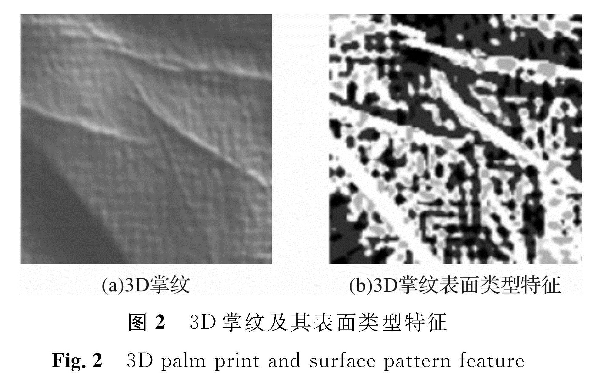 图2 3D掌纹及其表面类型特征<br/>Fig.2 3D palm print and surface pattern feature