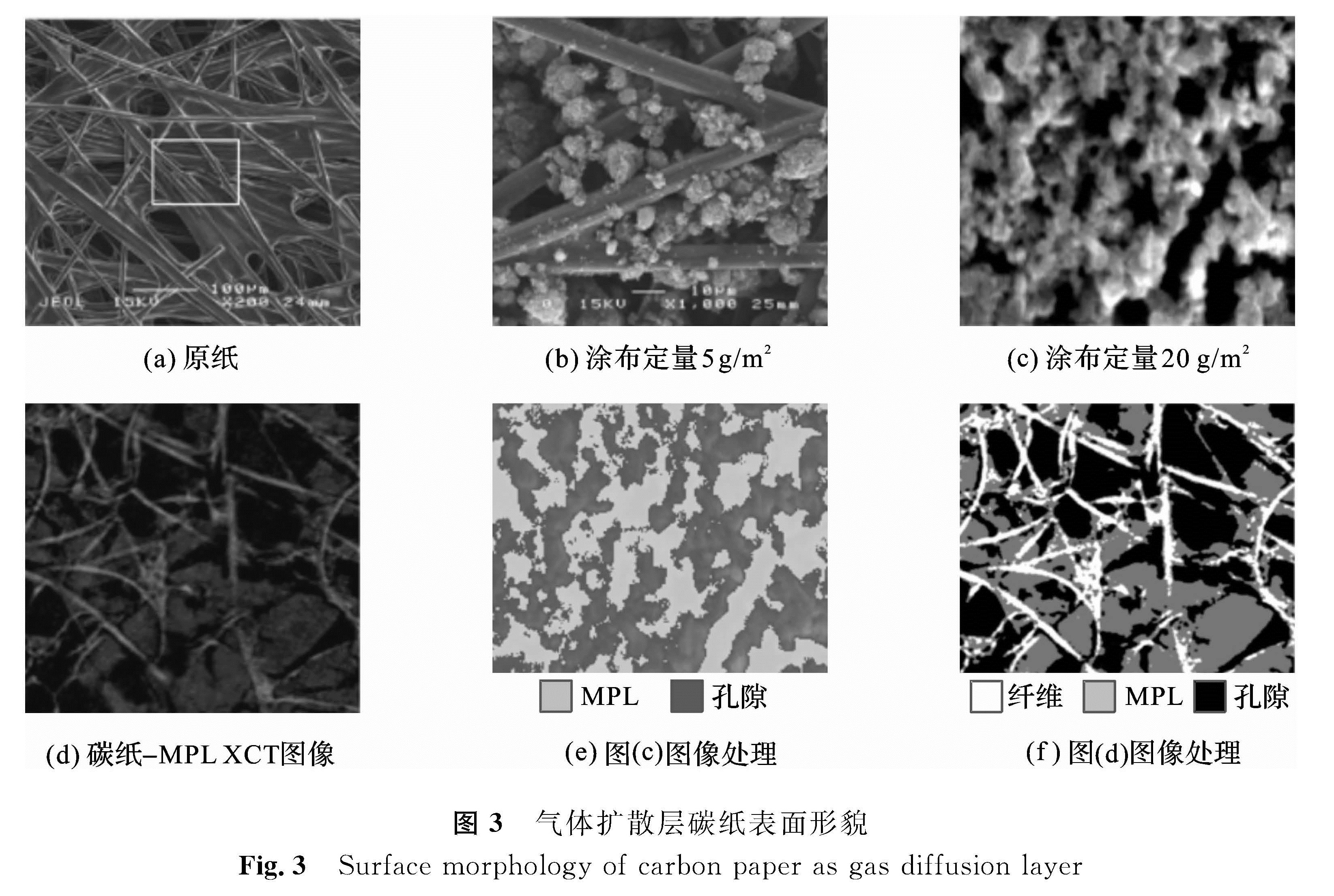 图3 气体扩散层碳纸表面形貌<br/>Fig.3 Surface morphology of carbon paper as gas diffusion layer