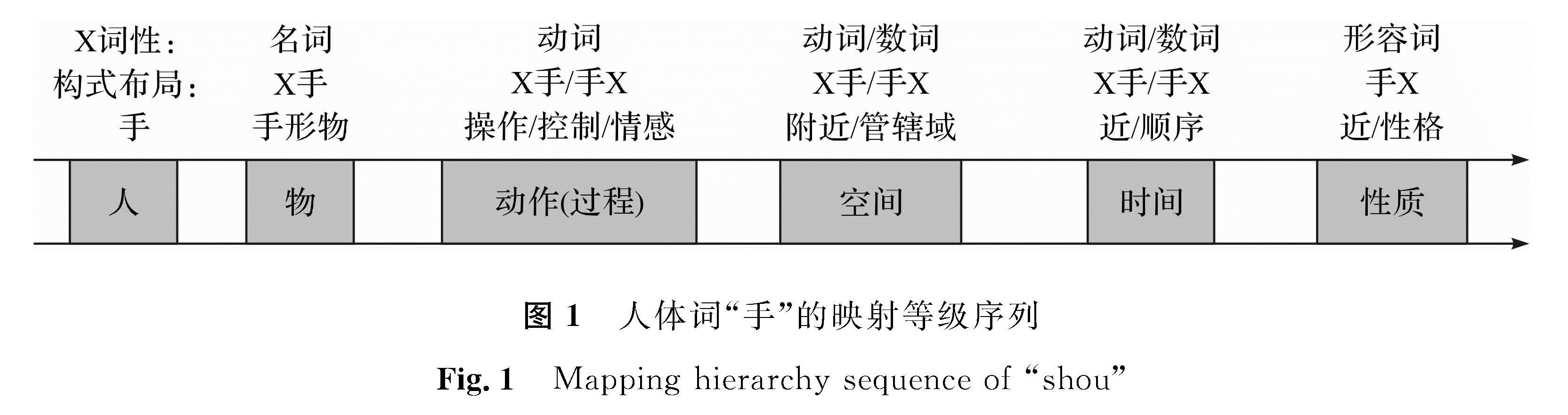 图1 人体词“手”的映射等级序列<br/>Fig.1 Mapping hierarchy sequence of “shou”