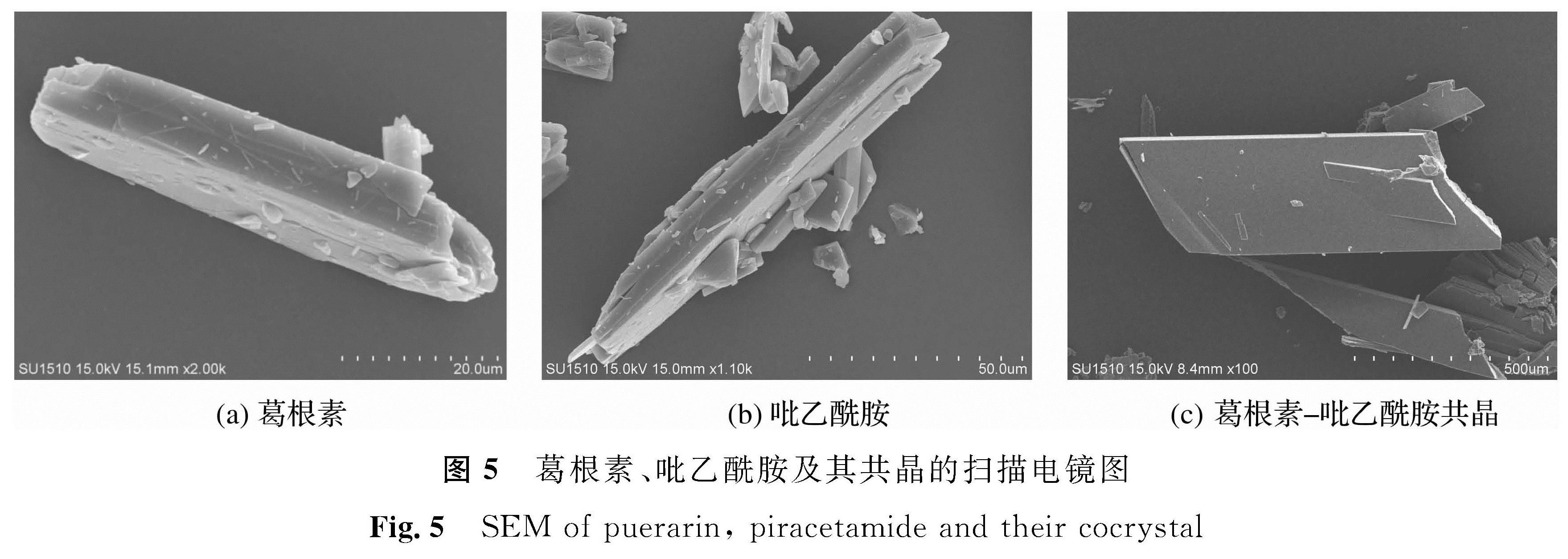 图5 葛根素、吡乙酰胺及其共晶的扫描电镜图<br/>Fig.5 SEM of puerarin, piracetamide and their cocrystal