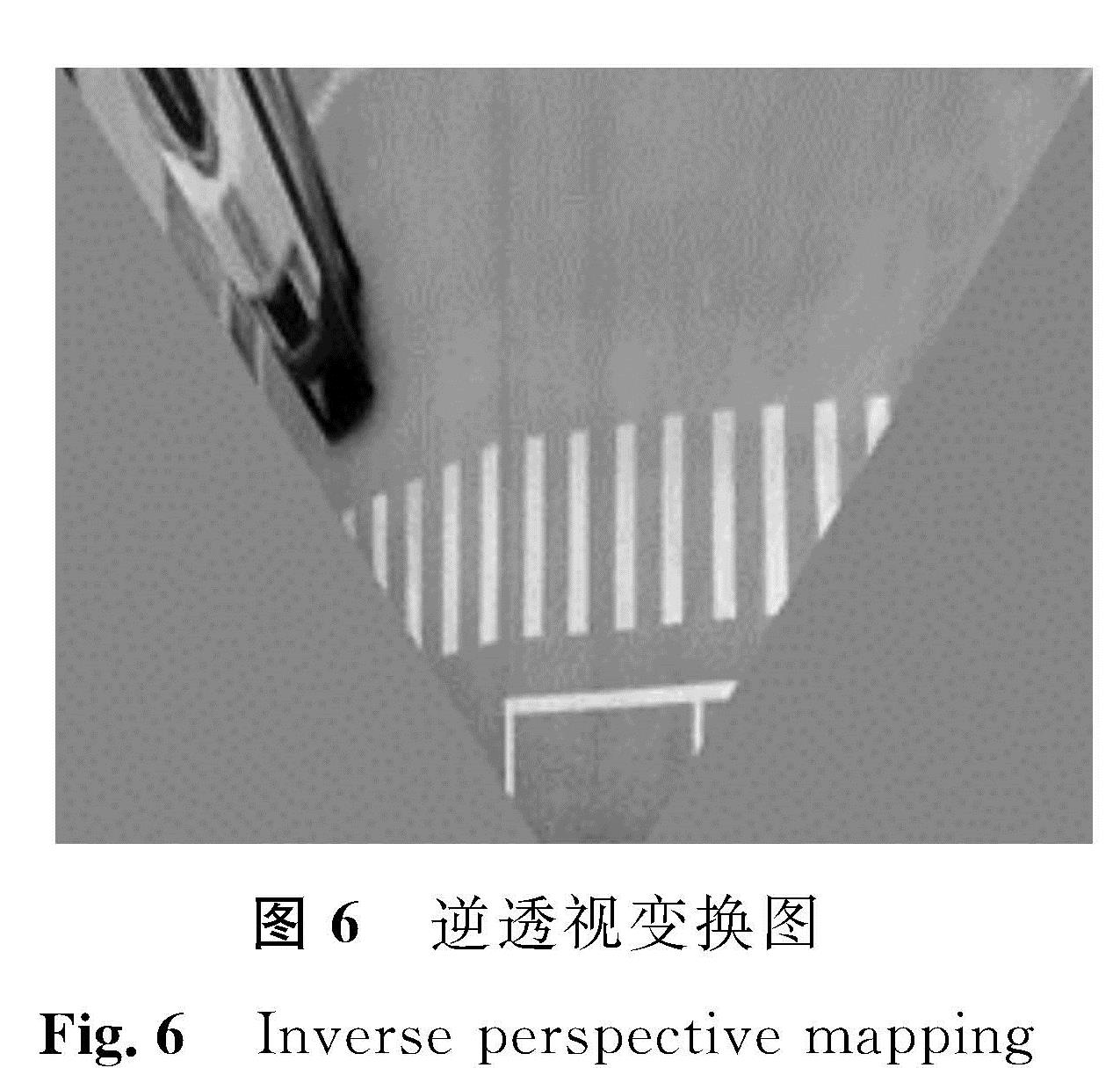 图6 逆透视变换图<br/>Fig.6 Inverse perspective mapping