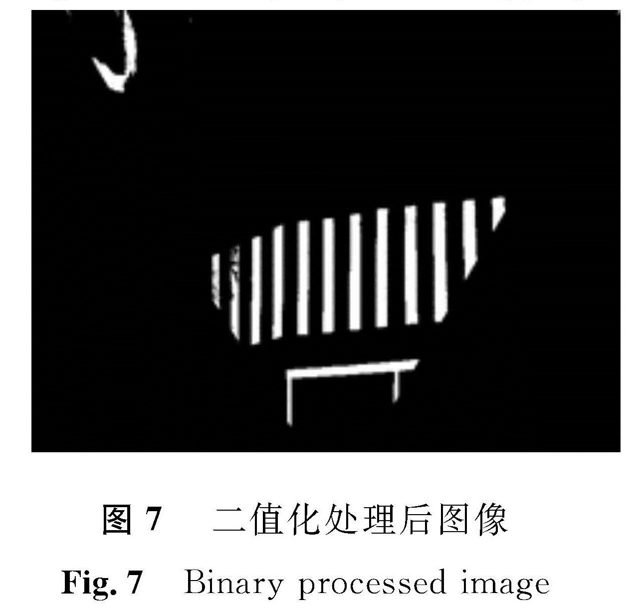 图7 二值化处理后图像<br/>Fig.7 Binary processed image