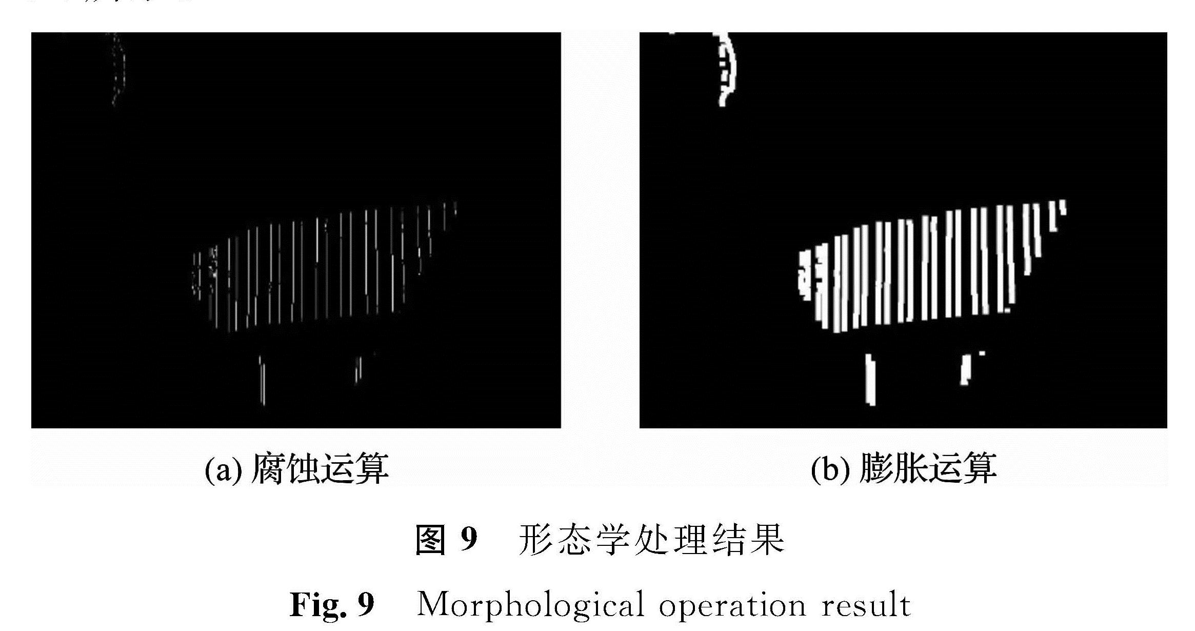 图9 形态学处理结果<br/>Fig.9 Morphological operation result