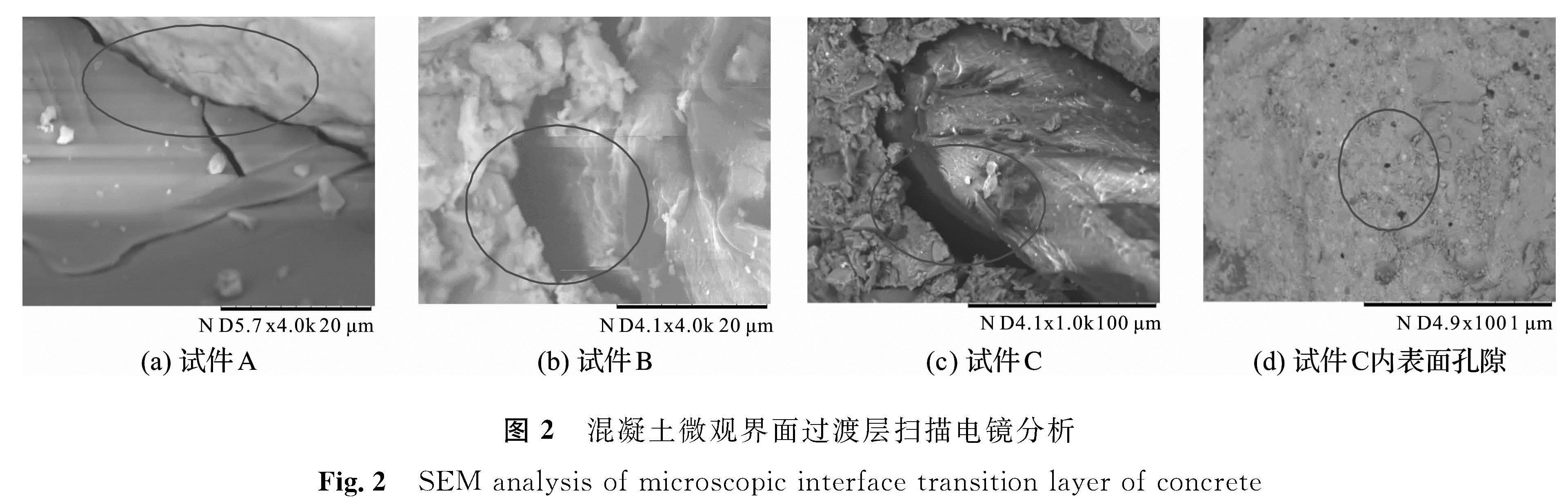 图2 混凝土微观界面过渡层扫描电镜分析<br/>Fig.2 SEM analysis of microscopic interface transition layer of concrete