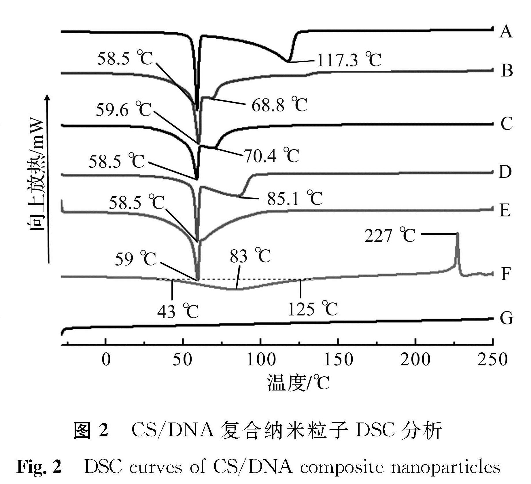 图2 CS/DNA复合纳米粒子DSC分析<br/>Fig.2 DSC curves of CS/DNA composite nanoparticles