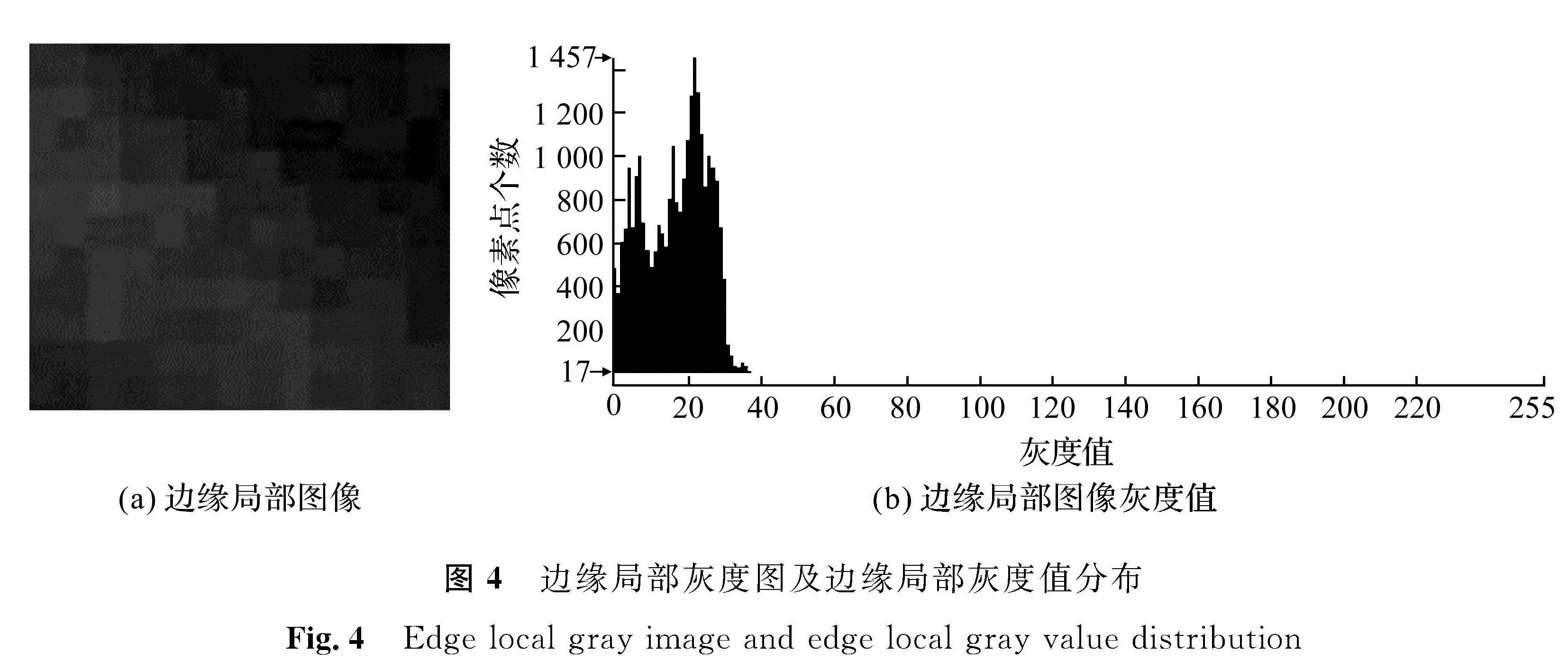 图4 边缘局部灰度图及边缘局部灰度值分布<br/>Fig.4 Edge local gray image and edge local gray value distribution