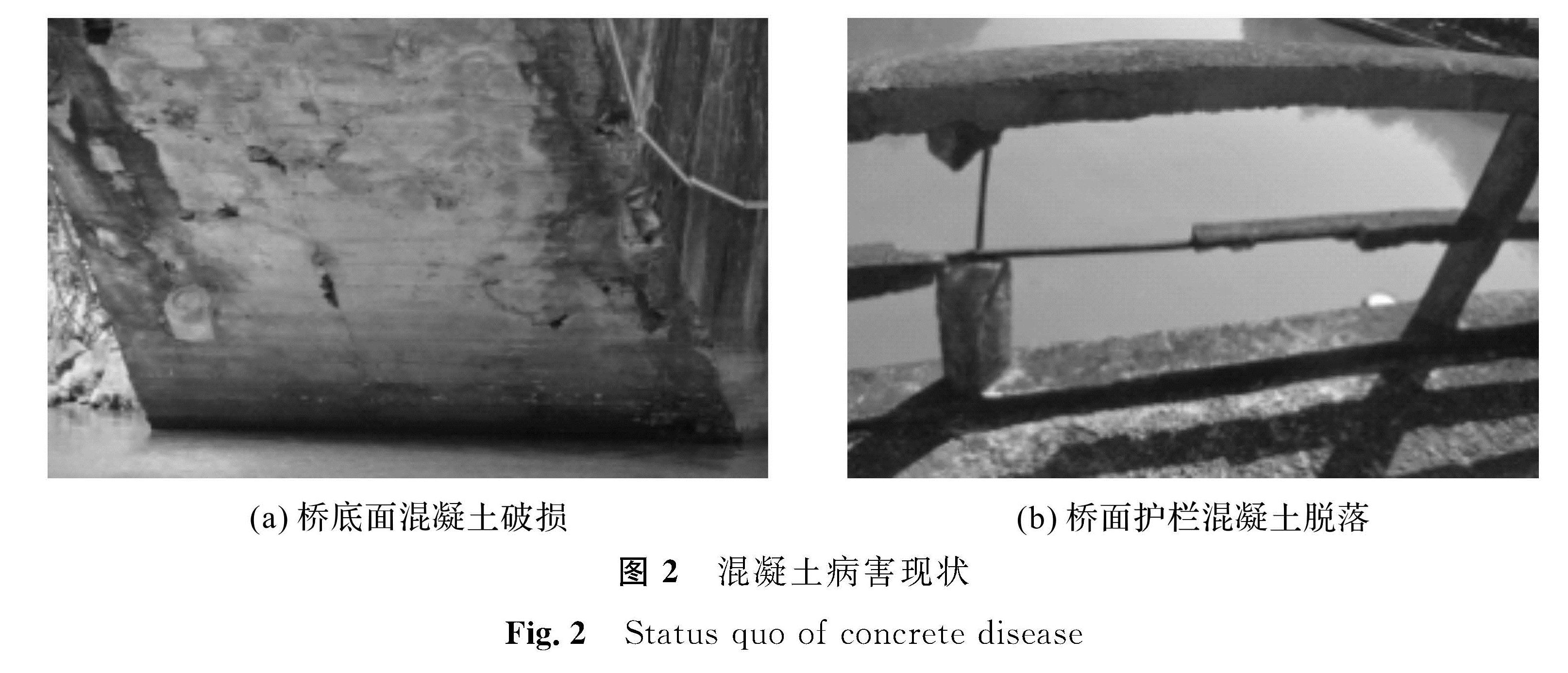 图2 混凝土病害现状<br/>Fig.2 Status quo of concrete disease