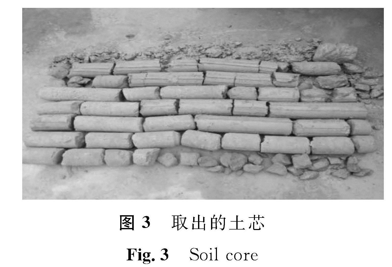 图3 取出的土芯<br/>Fig.3 Soil core