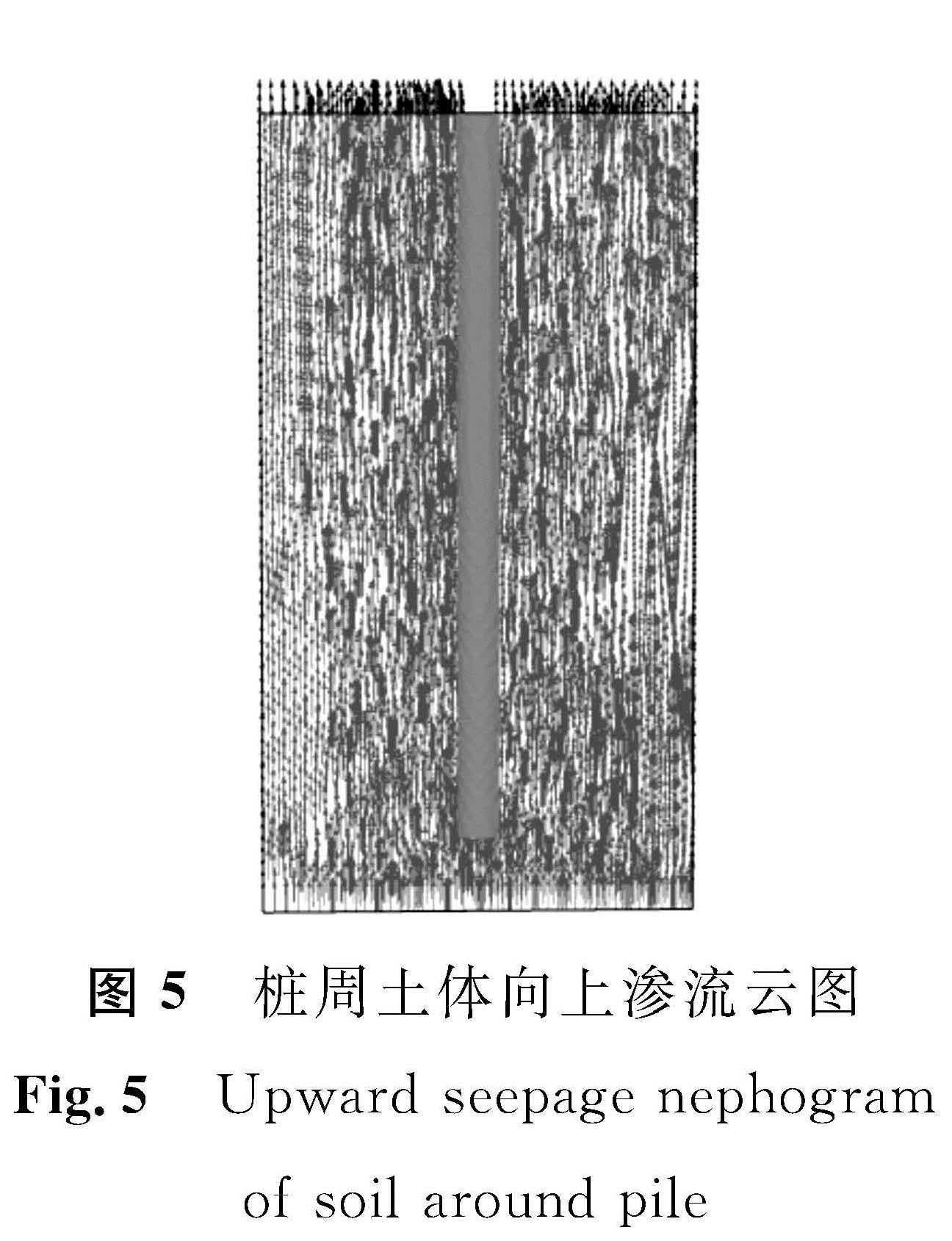图5 桩周土体向上渗流云图<br/>Fig.5 Upward seepage nephogram of soil around pile