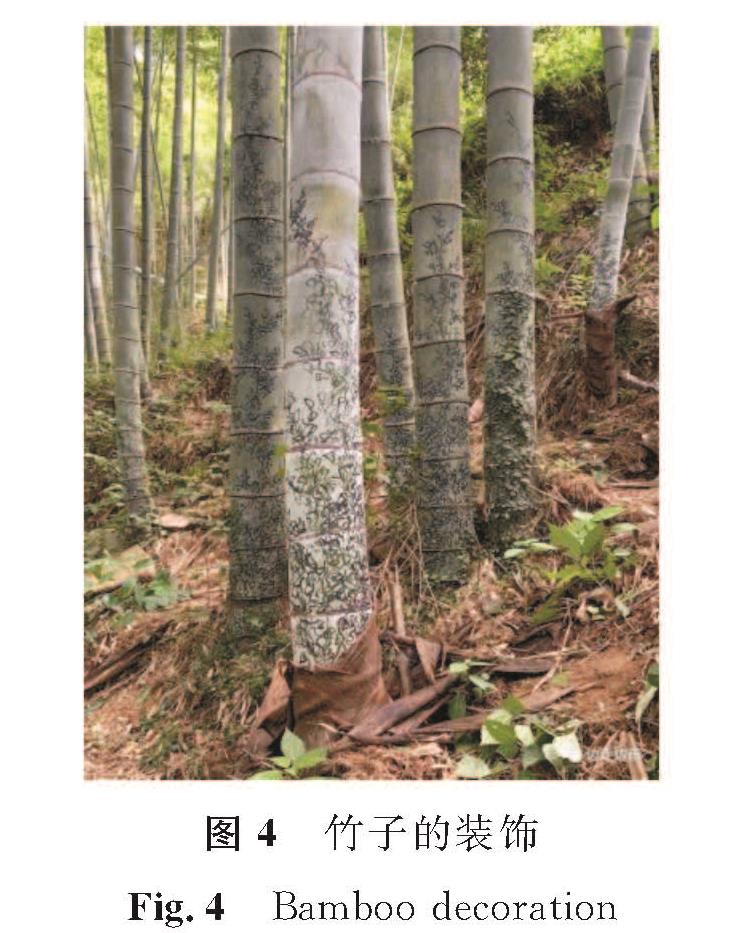 图4 竹子的装饰<br/>Fig.4 Bamboo decoration