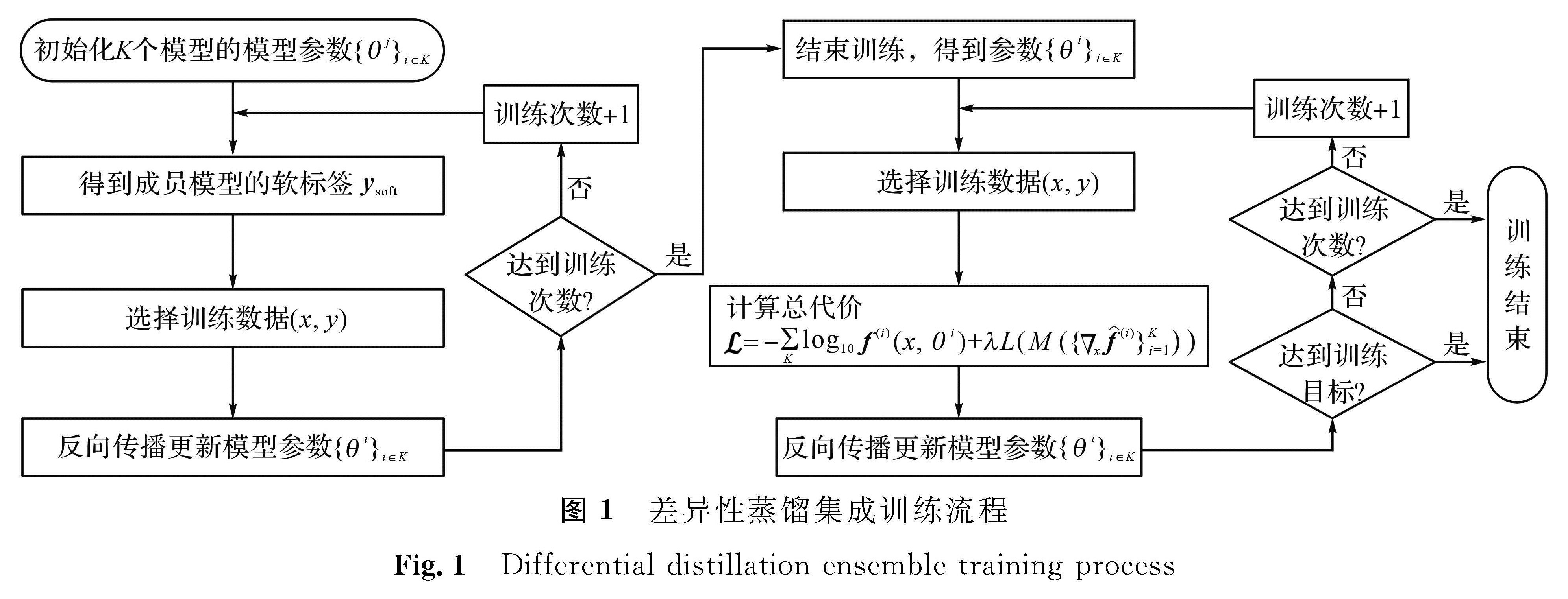 图1 差异性蒸馏集成训练流程<br/>Fig.1 Differential distillation ensemble training process