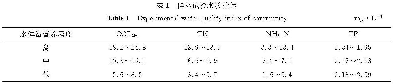 表1 群落试验水质指标<br/>Table 1 Experimental water quality index of communitymg·L-1