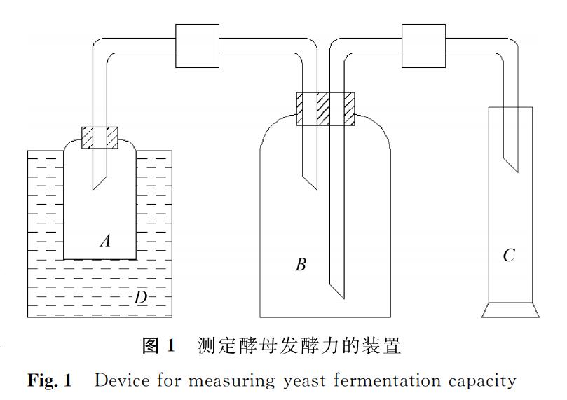 图1 测定酵母发酵力的装置<br/>Fig.1 Device for measuring yeast fermentation capacity