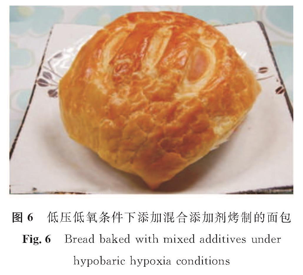 图6 低压低氧条件下添加混合添加剂烤制的面包<br/>Fig.6 Bread baked with mixed additives under hypobaric hypoxia conditions