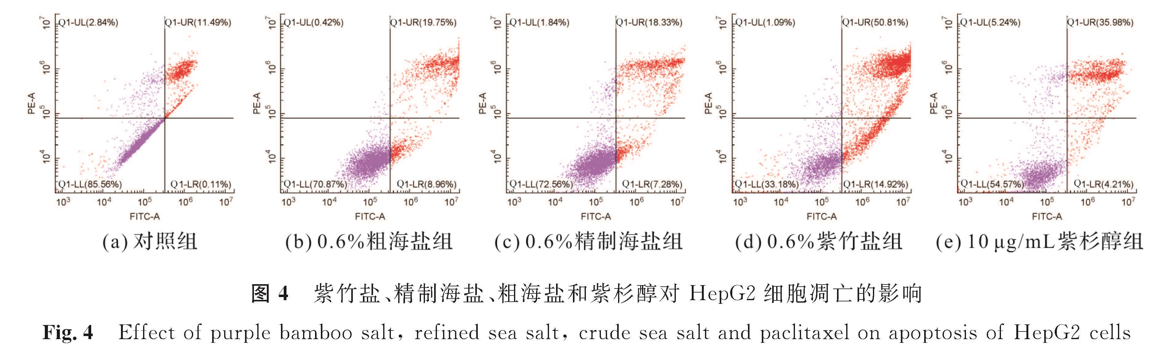 图4 紫竹盐、精制海盐、粗海盐和紫杉醇对HepG2细胞凋亡的影响<br/>Fig.4 Effect of purple bamboo salt, refined sea salt, crude sea salt and paclitaxel on apoptosis of HepG2 cells