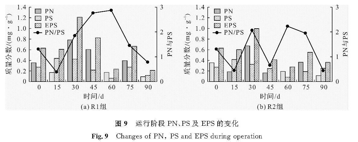 图9 运行阶段PN、PS及EPS的变化<br/>Fig.9 Changes of PN, PS and EPS during operation